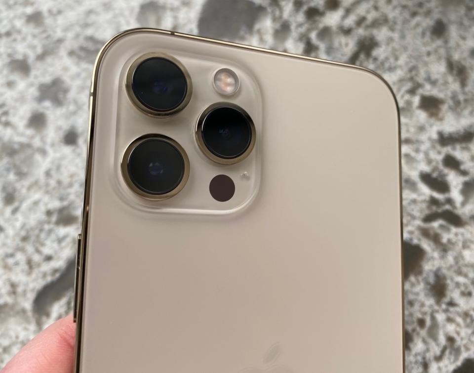 The iPhone 12 Pro Max gets an even better camera system than the 12 Pro, with a larger camera sensor that can capture more light. (Image: Howley)