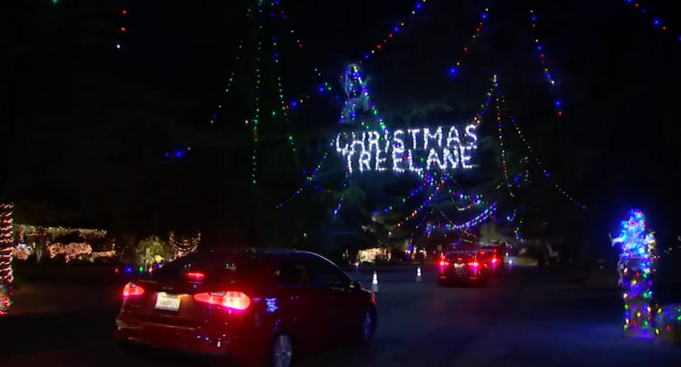 Traffic waiting to drive through Christmas Tree Lane.