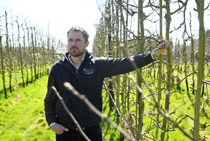 British fruit farmer to move away from apple growing at Loddington Farm fruit farm near Maidstone