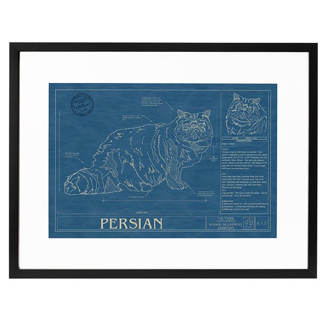 cat blueprint, gifts for cat lovers