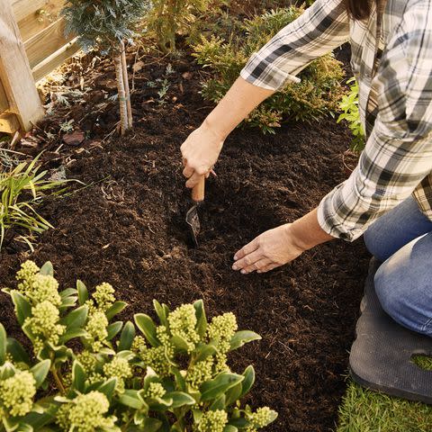 Why “Lasagna Planting” Is the Perfect Gardening Method to Try Right Now