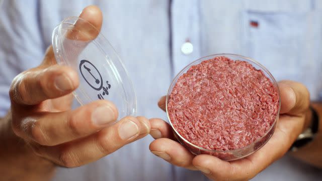 Professor Mark Post holds the world's first lab-grown beef burger.