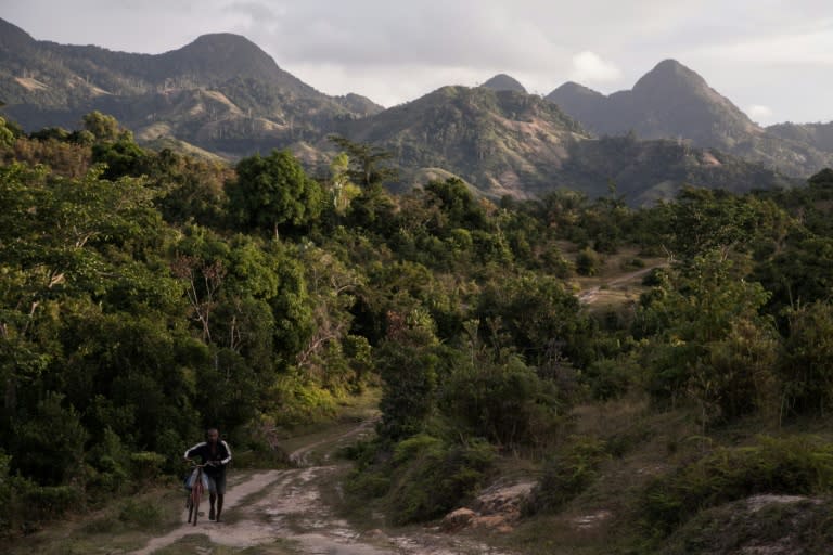 A man pushes a bicycle near a vanilla plantation forest in Madagascar's Sava region