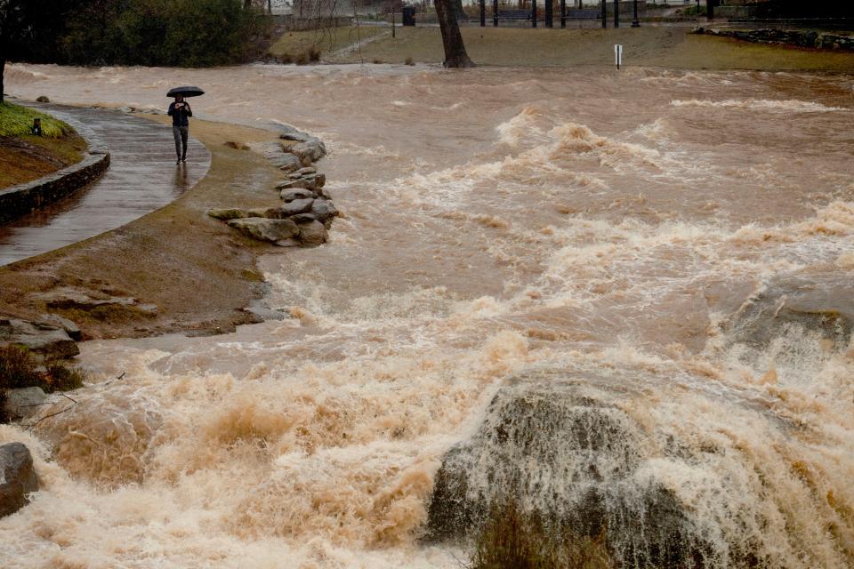 A man braves the rain while taking videos of the Reedy River's rushing water at Falls Park in downtown Greenville, SC, on Tuesday, Jan. 9, 2024.