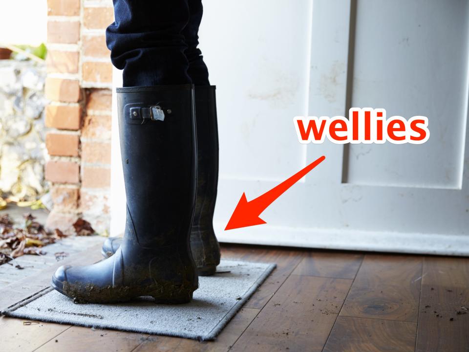 Wellies, or wellington boots.
