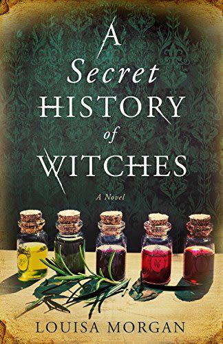 <i>A Secret History of Witches</i> by Louise Morgan