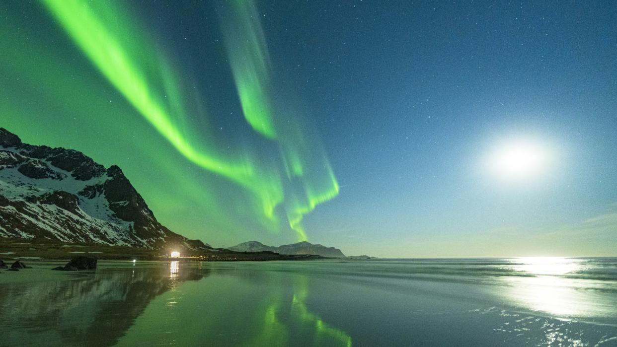  Green light of Aurora Borealis mirrored in water lit by moon, Skagsanden beach, Flakstad, Lofoten Islands, Norway. 