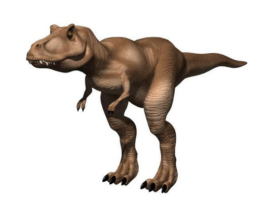 A model of a T-Rex