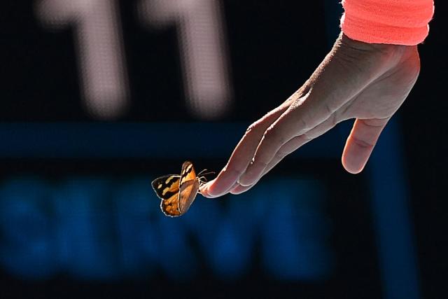 Naomi Osaka Saves a Butterfly That Lands on Her Face in the Middle