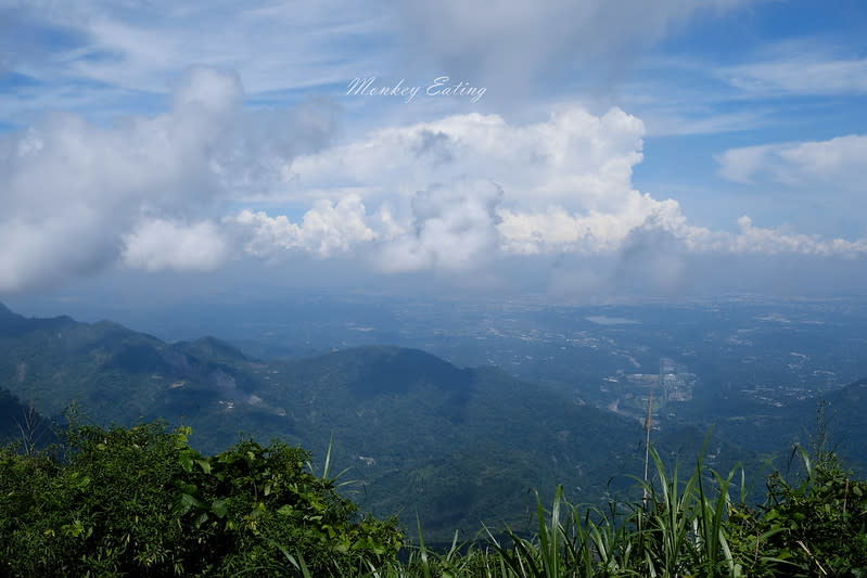 嘉義阿里山｜二延平步道