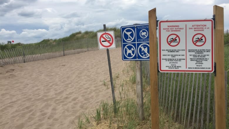 No swimming allowed as N.B. hopes for Blue Flag designation for clean water at Parlee Beach