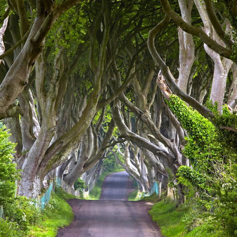 Game of Thrones: Kingsroad