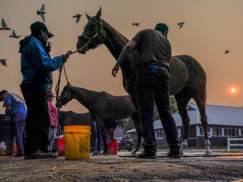 The sun is obscured by haze caused by northern wildfires as horses are bathed ahead of the Belmont Stakes horse race, Thursday, June 8, 2023, at Belmont Park in Elmont, N.Y. Training was cancelled for the day due to poor air quality.