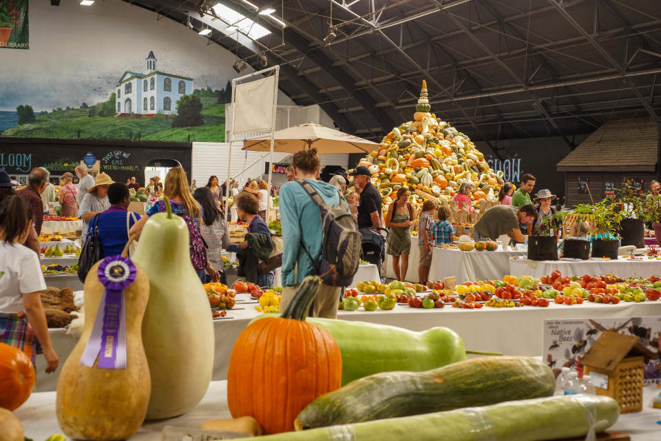 Hundreds of heirloom varieties will be on display during the National Heirloom Exposition at the Ventura County Fairgrounds on Sept. 12-14, 2023. Shown is the 2018 event in Sonoma.