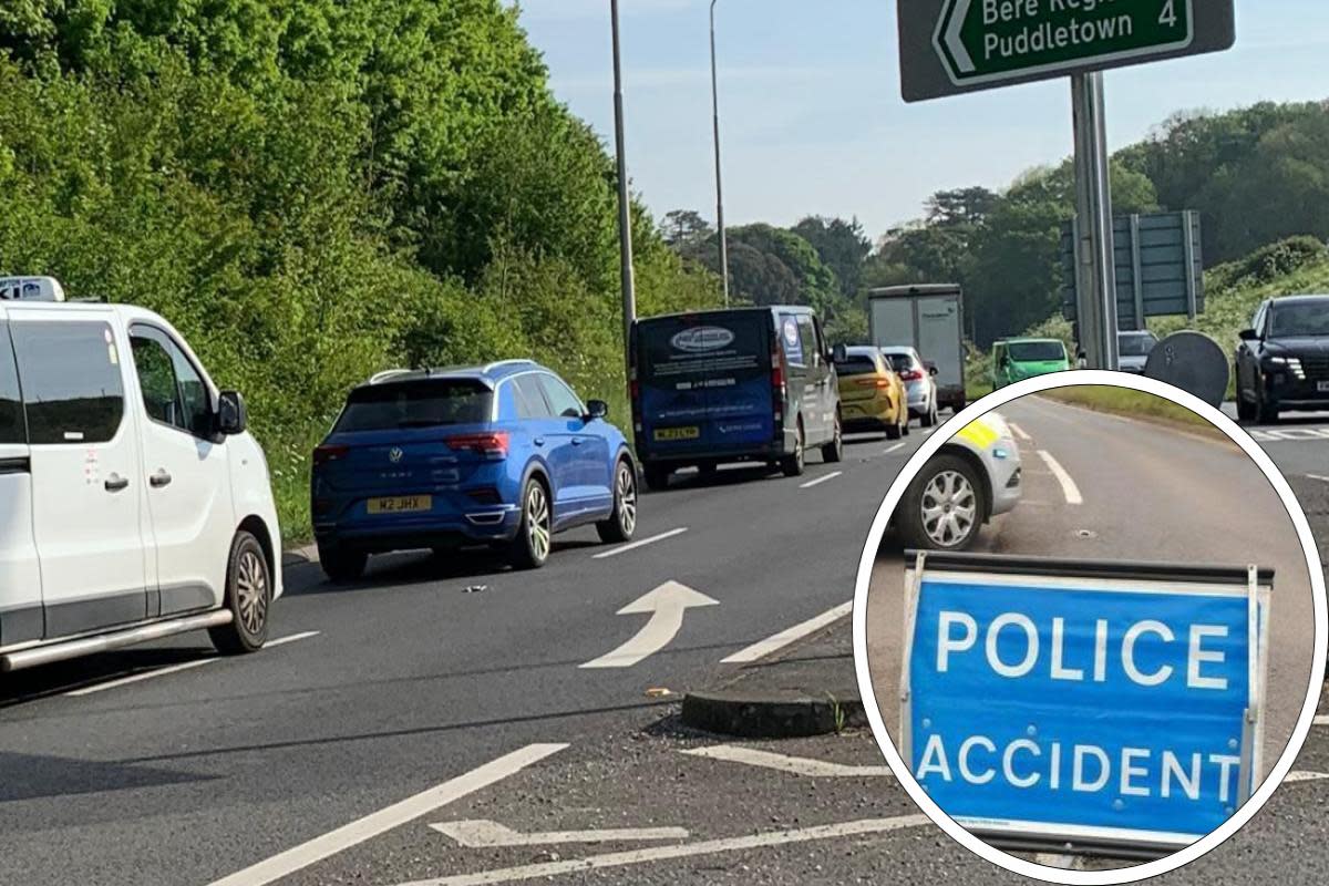 There are delays to traffic along the A35 due to a crash <i>(Image: Newsquest)</i>