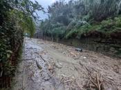 Aftermath of a landslide on the Italian holiday island of Ischia