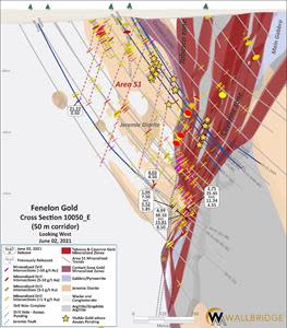 Fenelon Gold, Cross Section 10050_E