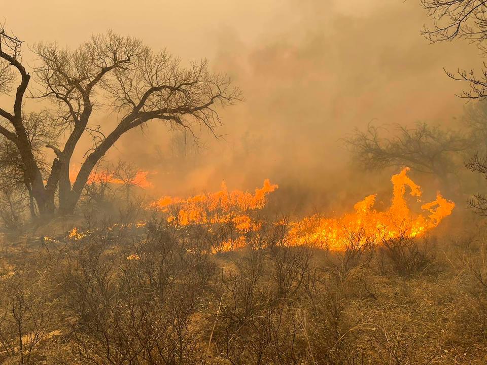 This image taken from Greenville Fire-Rescue's facebook page on Wednesday, Feb. 28, 2024 shows a fire in the Texas Panhandle. A fast-moving wildfire burning through the Texas Panhandle grew into the second-largest blaze in state history, forcing evacuations and triggering power outages as firefighters struggled to contain the widening flames. (Greenville Fire-Rescue via AP)