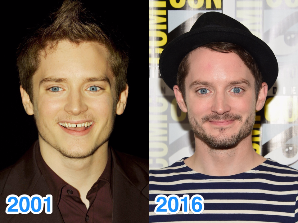 elijah wood skitch