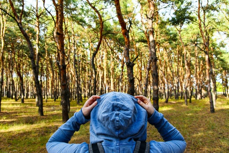 Tourist looking at pine forest.