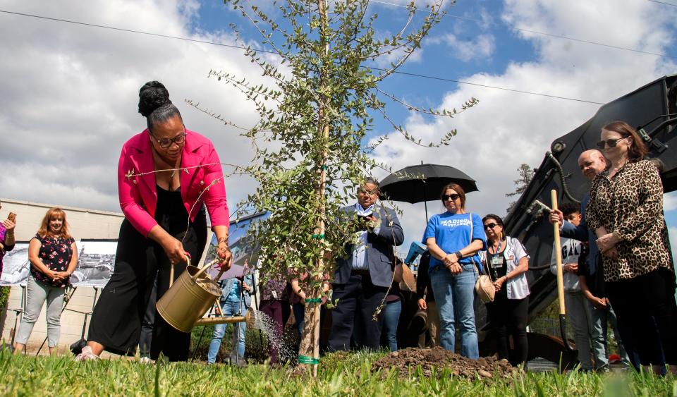 Stockton vice mayor Kimberly Warmsley waters a tree during a tree planting at the groundbreaking ceremony for extensive renovations to the park in south tStockton on Apr. 23, 2024.