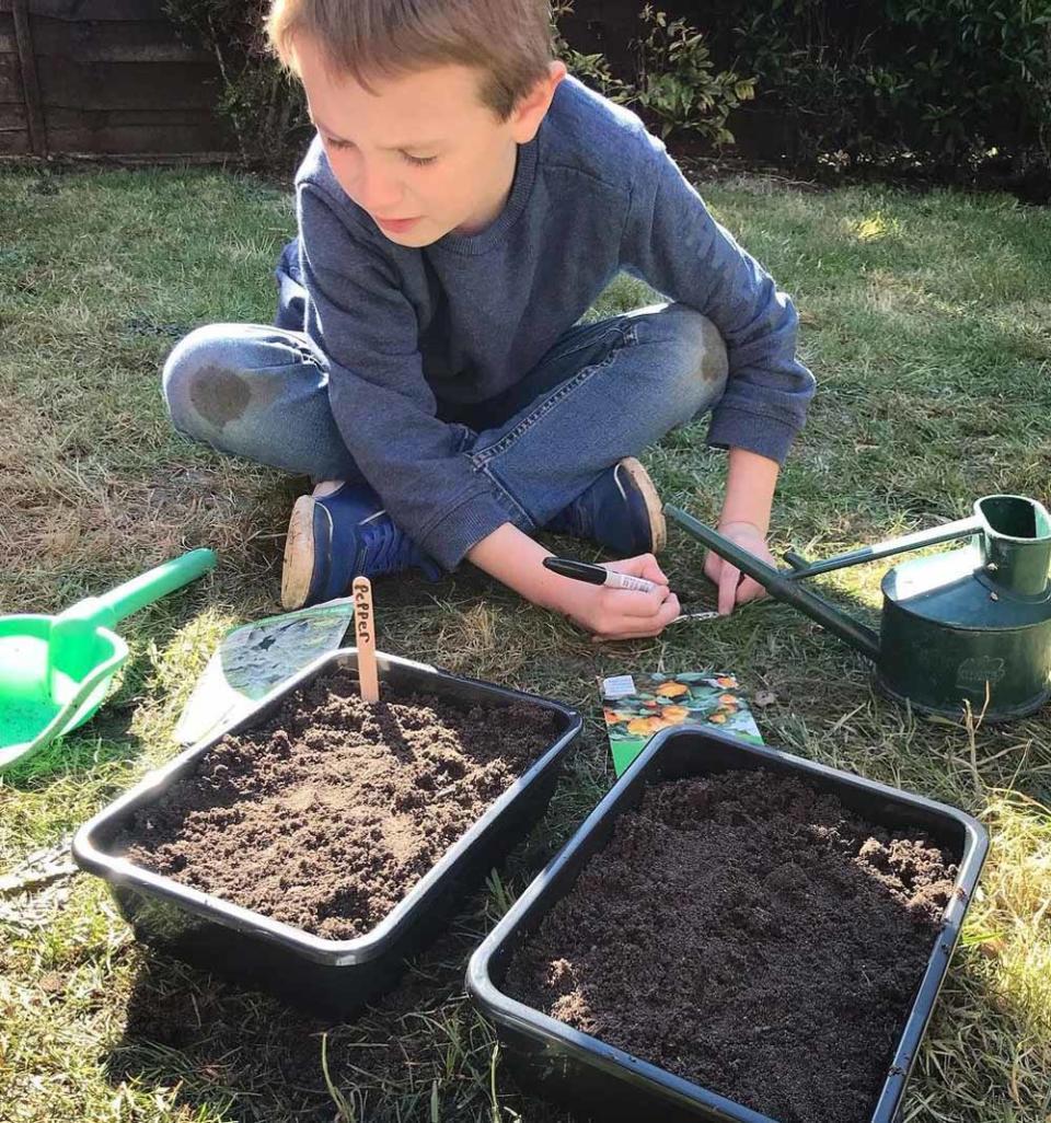 The family plant their own veg in order to lessen their carbon footprint. (Collect/PA Real Life)