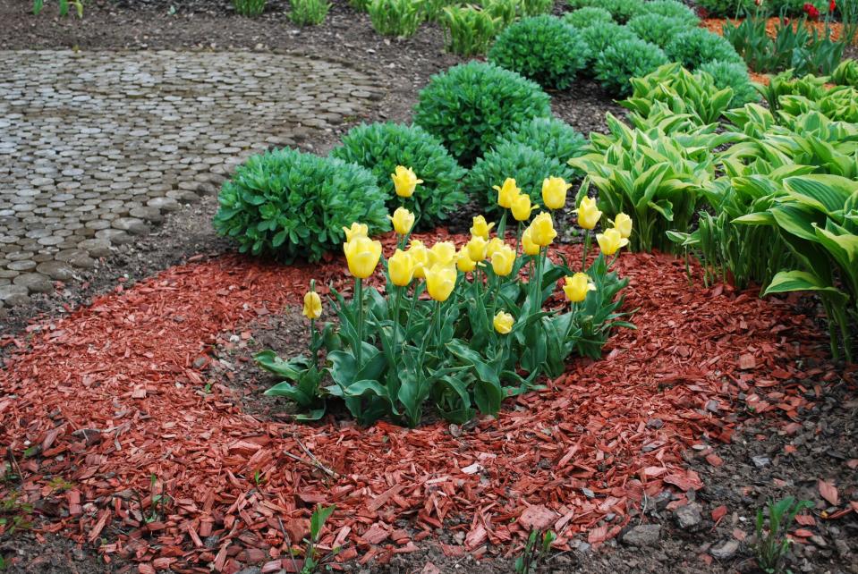 Mulches are materials placed over the soil surface to enhance landscape beauty, improve soil conditions and more