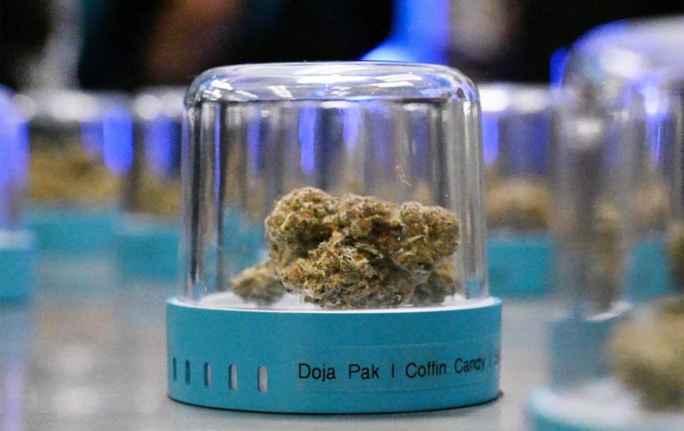 Strains of marijuana is seen on display during the grand opening of Cookies in Fresno Sunday morning, Dec. 17, 2023.