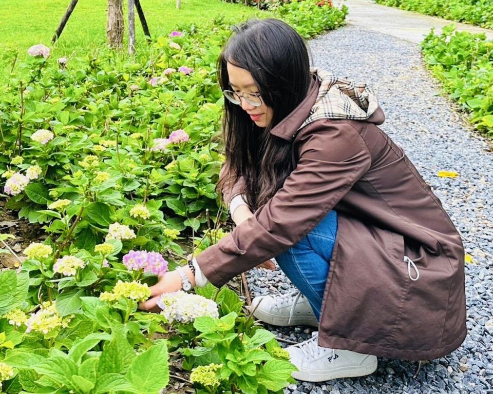 上千株繡球花是新亮點，一年只開一次花，熱愛賞花的「花粉」們別錯過喔。（新北市水利局提供）