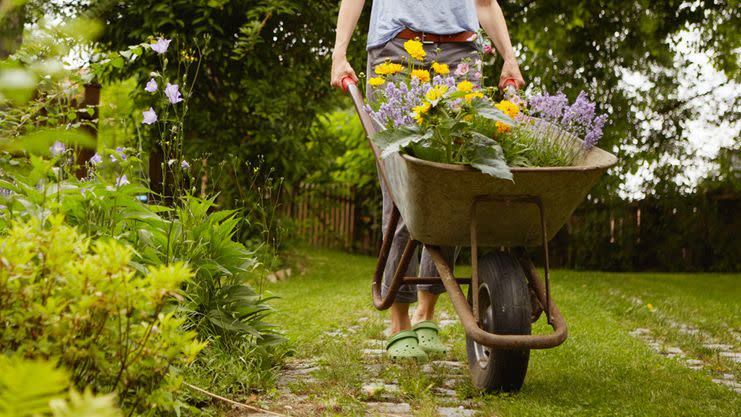 a person pushing a wheelbarrow full of flowers