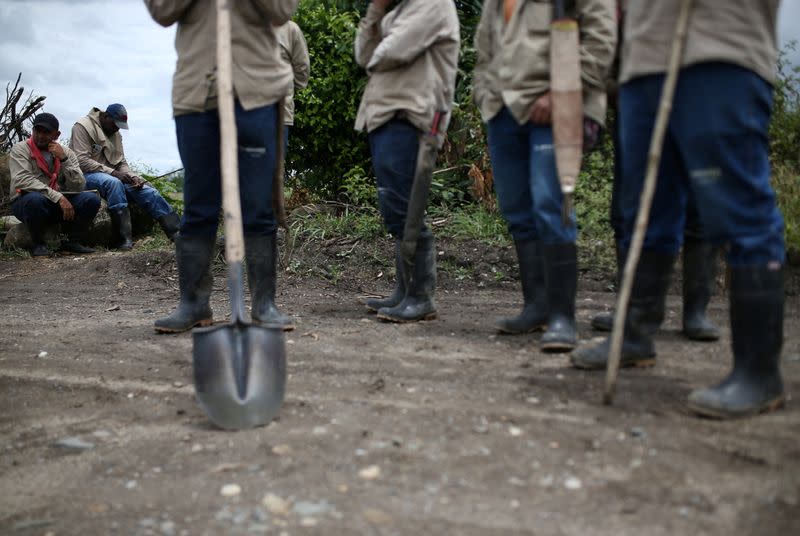 Trabajadores de un ingenio azucarero se reúnen en un cañaveral que, según ellos, podría ser invadido por comunidades indígenas y agricultores pobres, en Corinto, departametno del Cauca