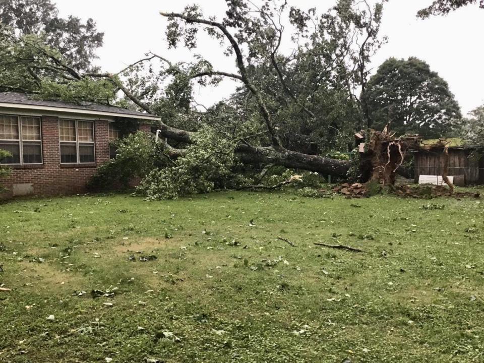 This house on Elsmore Boulevard in Gadsden was damaged by a tree felled by the severe storm that hit Etowah County on Aug. 3.