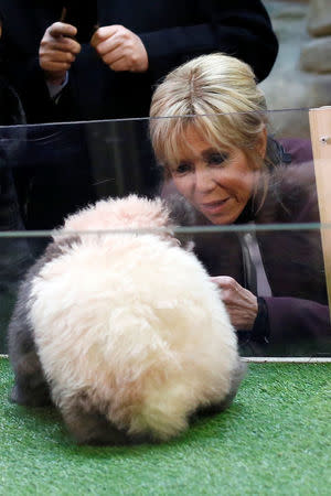 Brigitte Macron, wife of the French president, attends the naming ceremony of the panda born at the Beauval Zoo in Saint-Aignan-sur-Cher, France, December 4, 2017. The 4-month-old cub is called Yuan Meng, which means “the realization of a wish” or “accomplishment of a dream.” REUTERS/Thibault Camus/Pool