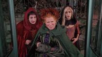 <p> To live forever, witches must harvest young people – a gruesome concept that Hocus Pocus plays with. Bette Midler, Sarah Jessica Parker, and Kathy Najimy play the conniving, bickering Sanderson sisters, 300-year-old witches looking to capture some youths to remain young and, erm, beautiful. They've spent hundreds of years trapped in the afterlife before being inadvertently unleashed by the new-in-town virgin on All Hallow's Eve, and they're looking to return to the glory of their younger years.  </p> <p> The Sanderson sisters are the beating black heart of the film – Midler’s overconfidence and buck teeth, Parker’s aloof sex appeal on two left feet, Najimy’s over-the-top goofiness. Hocus Pocus is campy and sickly sweet. There's even a magical musical number which you won’t be able to get out of your head. </p>