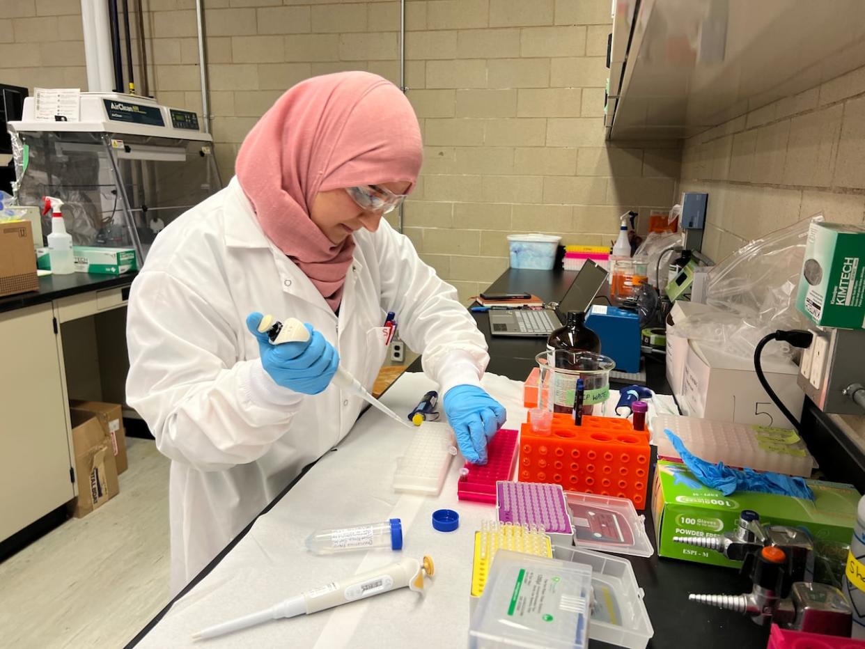 Carleton University PhD candidate Shahad Abdulmawjood conducts a test on a sap sample. The team she's part of has designed test strips that can ferret out unwanted 'buddy sap,' which can ruin batches of maple syrup. (Giacomo Panico/CBC - image credit)