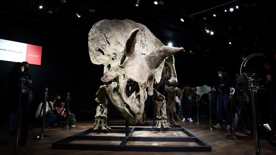 Visitors look at the skeleton of a gigantic Triceratops over 66 million years old, named "<a href="https://www.cnn.com/style/article/worlds-largest-triceratops-auction-scn/index.html">Big John</a>," on display before its sale at Drouot auction house in Paris in October 2021. - Sarah Meyssonnier/Reuters