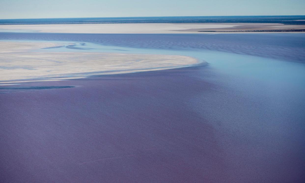 <span>‘We want to share our country with the world. We’re just asking people to protect it,’ says Bronwyn Dodd, chair of the Arabana Aboriginal Corporation.</span><span>Photograph: Antony Baxter/Alamy</span>