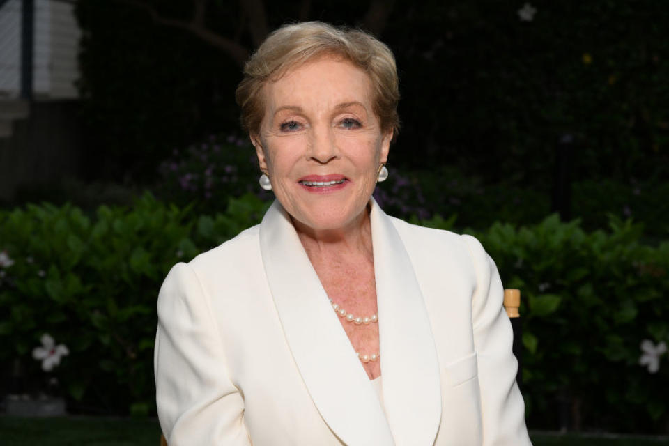 A closeup of Julie Andrews smiling