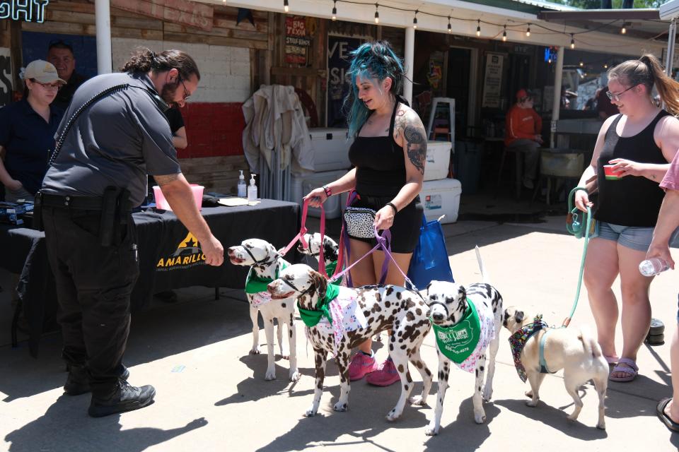 Donna Smith and her four dalmatians make an appearance Sunday at the 30th annual Muttfest at the Starlight Ranch Event Center in Amarillo.