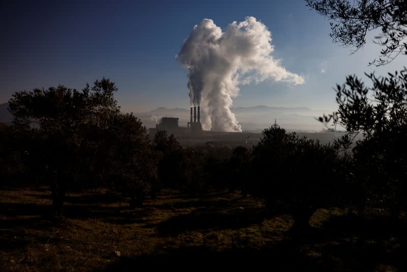 The Wider Image: Turkish olive farmer battles to save her land from coal mine