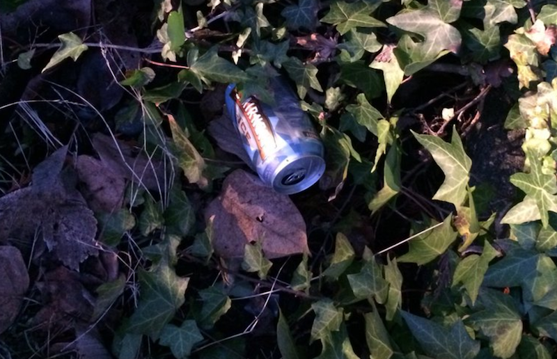 A beer can is spotted in a bush beside a West Vancouver, B.C., home where a massive house party took place, causing approximately $20,000 in damages. Photo from Greg Harper/Twitter.