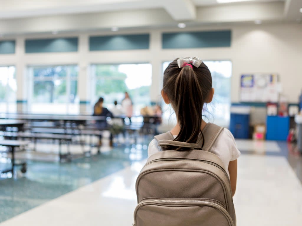 One in five pupils said anxiety was their most used word (Getty Images)