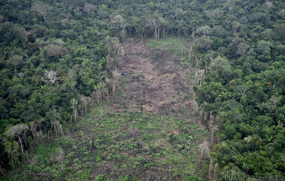 Terreno deforestado en Colombia por los agricultores de coca. (Photo by RAUL ARBOLEDA/AFP via Getty Images)