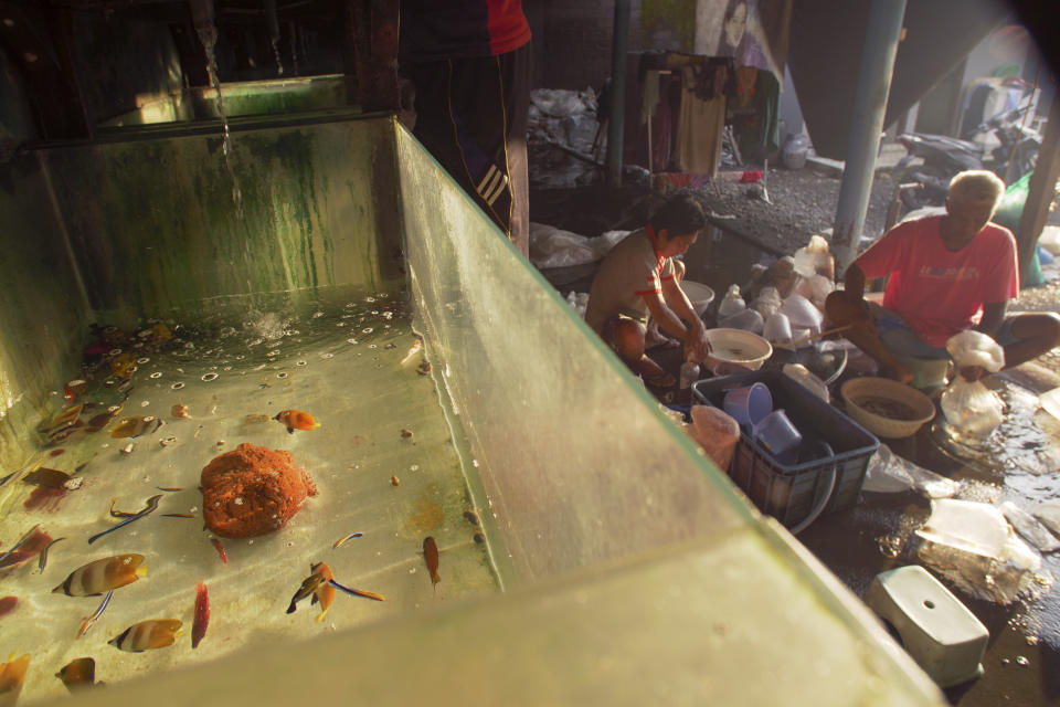 Workers sort fish at a middle man house in Les, Bali, Indonesia, on April 11, 2021. (AP Photo/Alex Lindbloom)