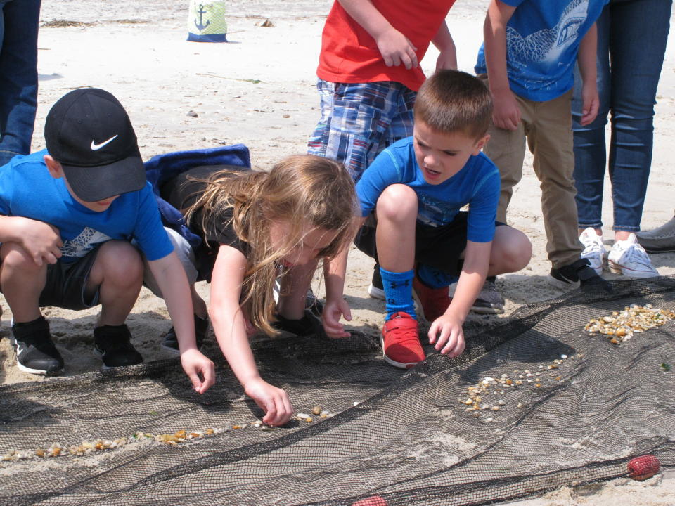 In this June 3, 2019 photo, schoolchildren pick tiny fish out of a net on the Raritan Bay shorefront in Middletown N.J. New Jersey environmental officials are due to decide Wednesday, June 5 on key permits for a nearly $1 billion pipeline that would bring natural gas from Pennsylvania through New Jersey, out into Raritan Bay and into the ocean before reaching New York and Long Island. (AP Photo/Wayne Parry)