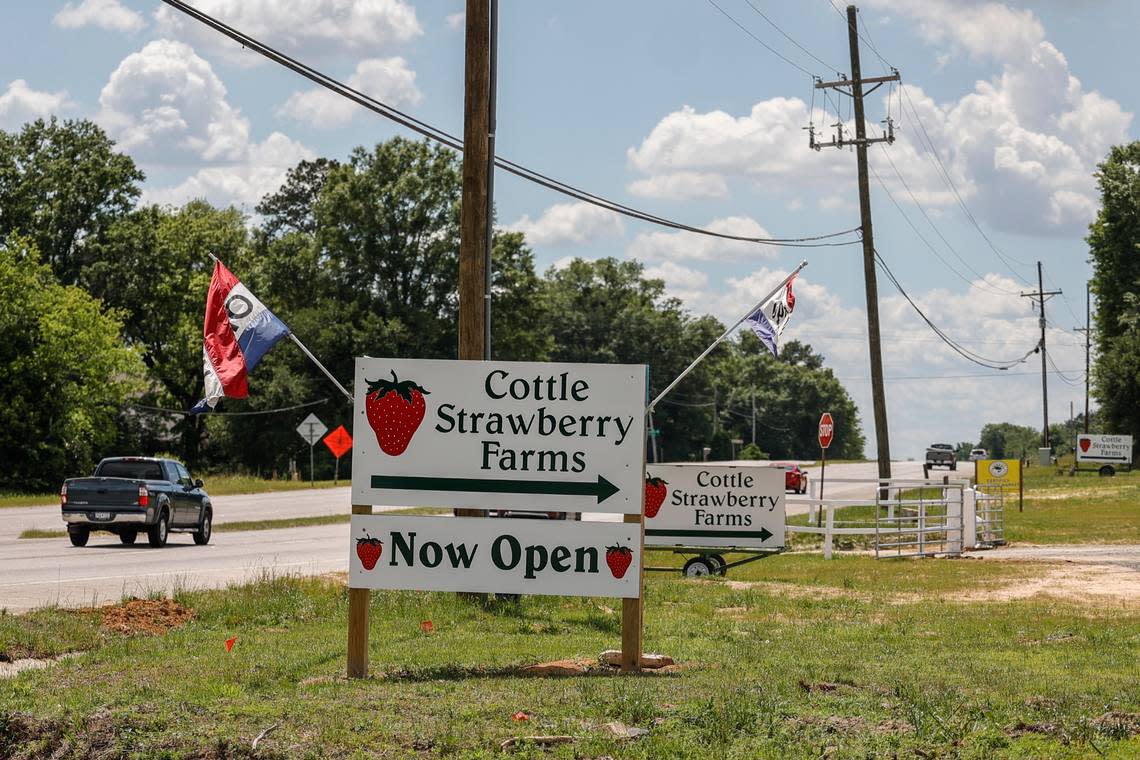 Hunter Bulloch and his mother, Joy Cottle run the Cottle Strawberry Farm. The family farm opened this year on a new location at the former Sedgewood Country Club on Garners Ferry Road in Hopkins.