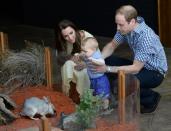 <p>He later wore comfy elastic-waist shorts to meet a bilby in Sydney. [Photo: Getty] </p>