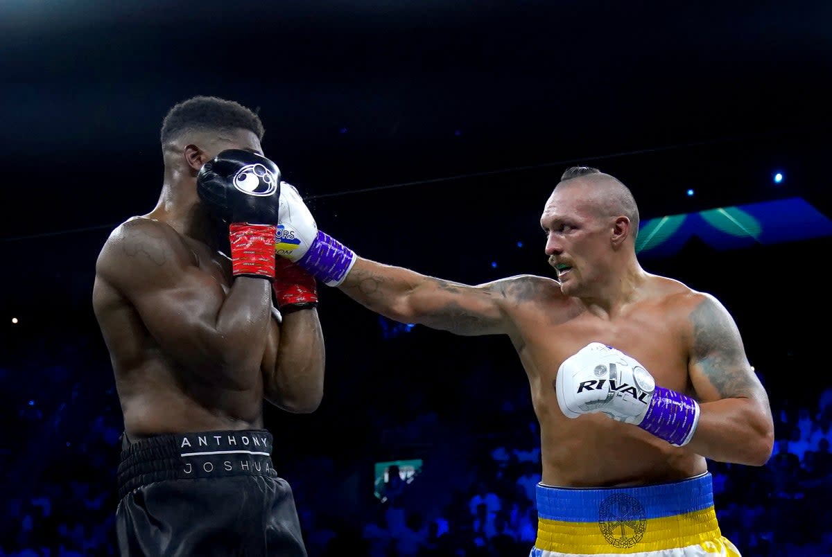 Anthony Joshua, left, and Oleksandr Usyk in action (Nick Potts/PA) (PA Wire)