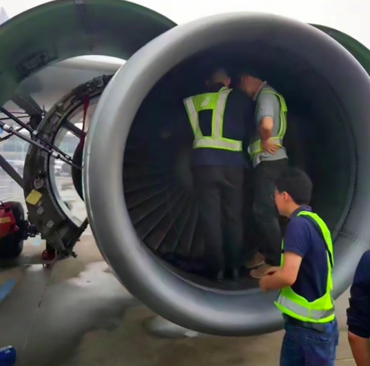 The woman apparently threw the coins into the engine for good luck (AsiaWire)