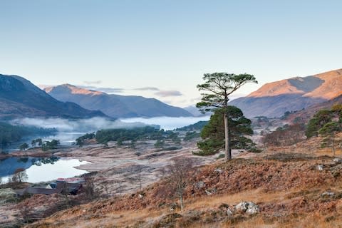 Glen Affric - Credit: getty